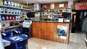 auto recambios guillermo-001